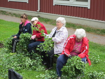 Huiske on kova, että väistellä pitää