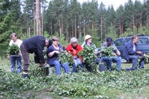 Ulkoryhmä töissä