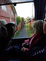 Kissanpiiskaajankuja