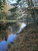 Värit osuivat kohdilleen.