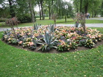 Vielä kerran kukkia!