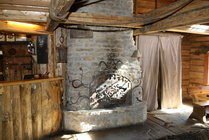 Takkauuni Viikingite Kulassa