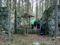 Aiotun vomalaitoken yläosa.