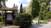 Erikoisia puita ja pensaita.